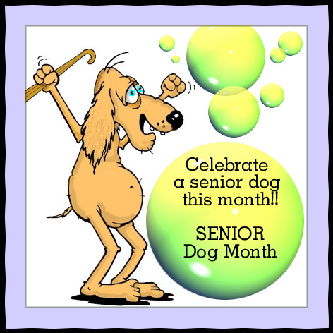 Ποιος είναι ο μήνας των μεγάλης ηλικίας σκύλων;